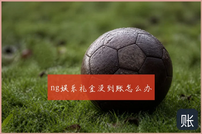 ng娱乐礼金没到账怎么办